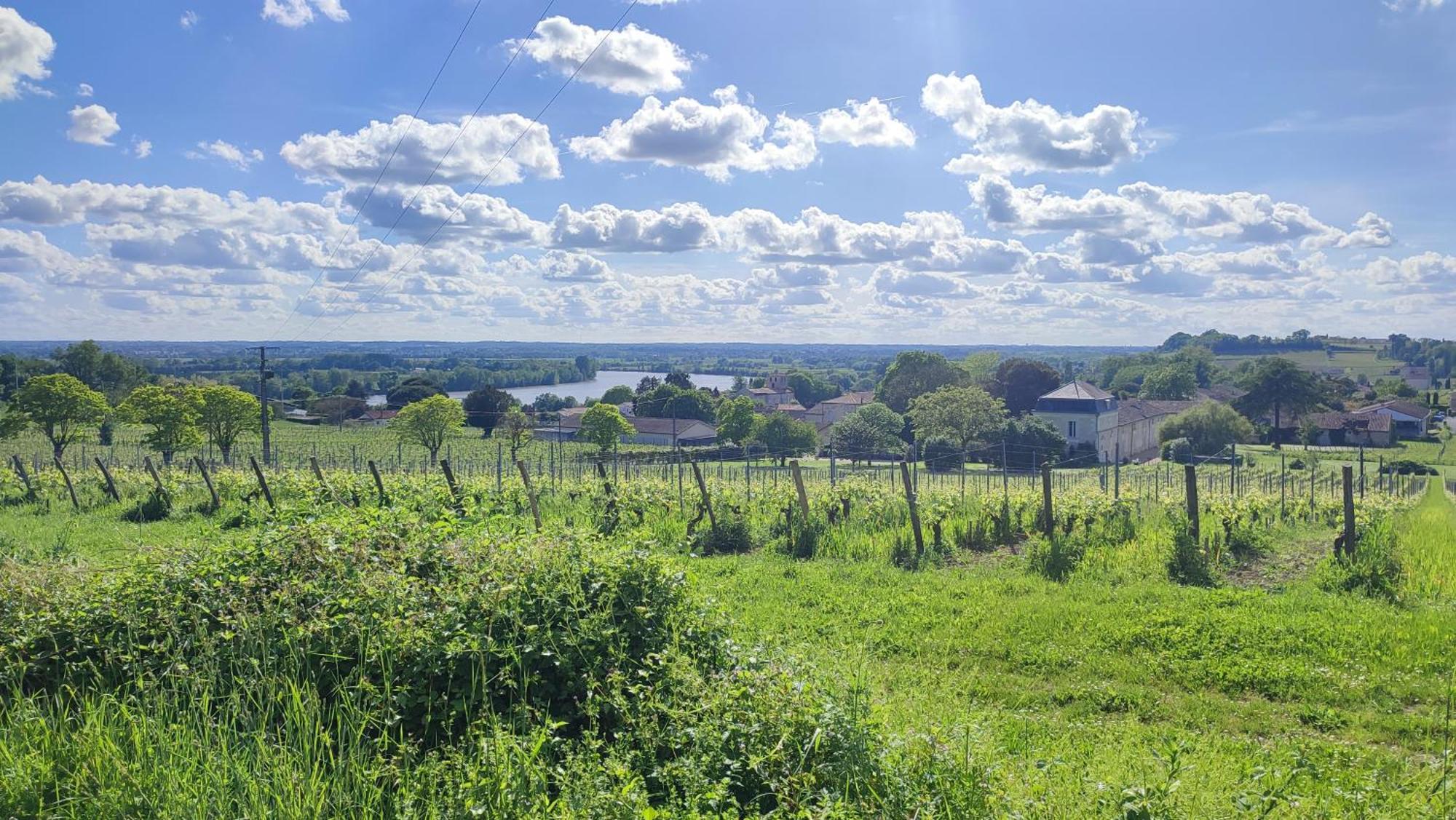 Maison Charmeilles - La Suite Pomerol Fronsac  Екстериор снимка