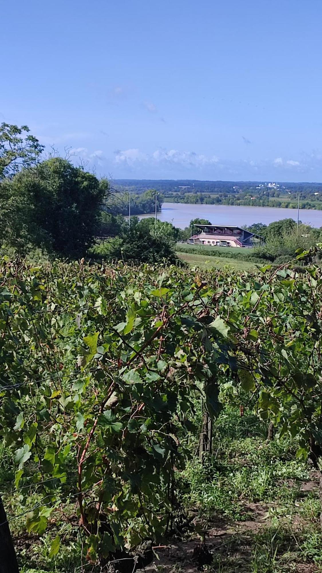 Maison Charmeilles - La Suite Pomerol Fronsac  Екстериор снимка