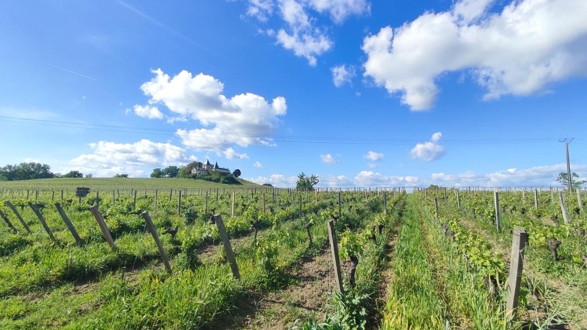 Maison Charmeilles - La Suite Pomerol Fronsac  Екстериор снимка